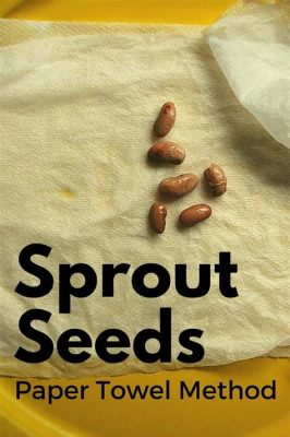 What to Do After Seeds Sprout in Paper Towel: A Journey Through the Absurd and the Practical